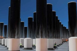 Mỹ: Trang trại cây nhân tạo chống biến đổi khí hậu