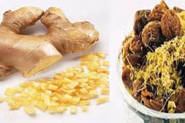 Hạn sử dụng của mứt, ô mai “hand made” 