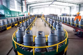 Công ty Phân phối khí áp Dầu khí Việt Nam bị phạt do kê khai sai thuế