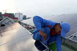 Việt Nam cần cơ sở tính toán cụ thể cho quy hoạch điện 