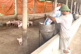 Kỳ án 'bán đất không kèm nhà' (Bài 3): 'Đến giờ tôi vẫn không hiểu vì sao tôi bị tội?'