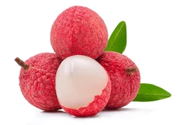 Nhật Bản ủy quyền Việt Nam giám sát vải thiều xuất khẩu