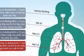 Ô nhiễm môi trường tác động đến đường hô hấp.