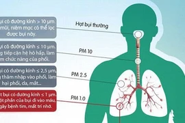 Ô nhiễm môi trường tác động đến đường hô hấp.