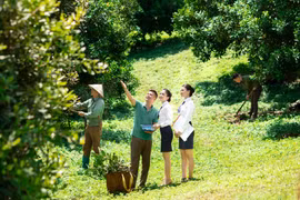 Cho vay chuỗi giá trị thúc đẩy phát triển kinh tế nông thôn bền vững