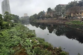 Hà Nội: Lấy nước sông Hồng cấp cho sông Đáy