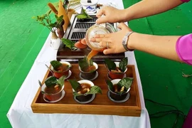 Đông y - Trà đan sâm trị thiếu máu cơ tim