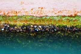 Lớp màng khí thụ động giảm ma sát và tích tụ bẩn sinh học vỏ tàu vận tải