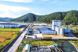 4,3 tỷ USD chảy vào KCN, KKT trong 5 tháng đầu năm