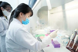 Viện Di truyền Y học xây dựng quy trình sàng lọc 25 bệnh đơn gene cho thai phụ