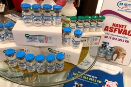 Vắc-xin dịch tả lợn châu Phi Việt Nam lưu hành thương mại giá từ 34.000 - 36.000 đồng/liều