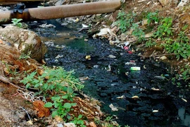 Hà Nội: Khốn khổ sống… bên cạnh kênh mương bốc mùi 