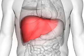 Những loại rau tuy rẻ nhưng đào thải độc tố cực tốt