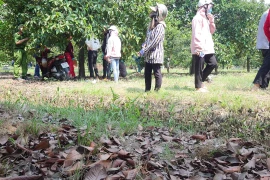 Tìm thấy bộ xương người trong bãi đất trống tại TPHCM