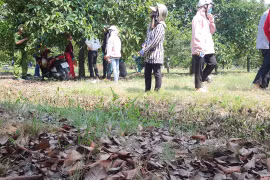 Tìm thấy bộ xương người trong bãi đất trống tại TPHCM