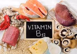Thực phẩm nào chứa vitamin B12?