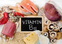 Thực phẩm nào chứa vitamin B12?