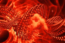 DNA nhân tạo tiêu diệt tế bào ung thư 