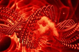 DNA nhân tạo tiêu diệt tế bào ung thư 