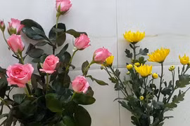 Mẹo cắm hoa tươi lâu cực kỳ đơn giản