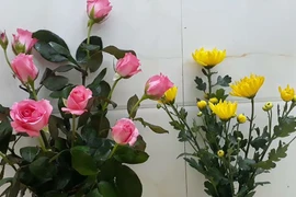 Mẹo cắm hoa tươi lâu cực kỳ đơn giản