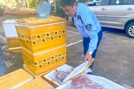 Sự thật nguồn gốc thịt bò Úc 80.000 đồng/kg 