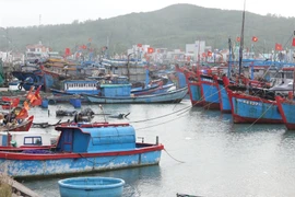 Yêu cầu kiểm tra tàu, xuồng hết đăng kiểm hoạt động tại Vịnh Bái Tử Long