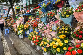 Hà Nội: Giá hoa tươi tăng mạnh trước thềm 8/3