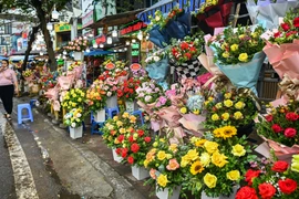 Hà Nội: Giá hoa tươi tăng mạnh trước thềm 8/3