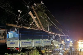 Đồng Nai: Hơn 8.600 hộ dân bị mất điện do xe tải đâm gãy trụ điện 