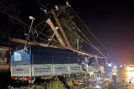 Đồng Nai: Hơn 8.600 hộ dân bị mất điện do xe tải đâm gãy trụ điện 