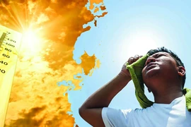 7 loại thực phẩm quen thuộc được ví như "kem chống nắng tự nhiên"