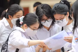 Tuyển sinh CĐ-ĐH 2023: Ngành có tỷ lệ đứng đầu