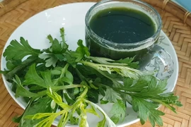 Chăm sóc da và mái tóc bằng lá ngải cứu