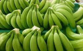 7 lợi ích tuyệt vời của chuối xanh ít người biết