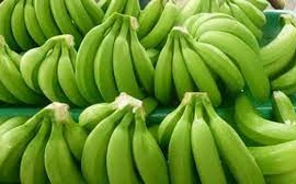 7 lợi ích tuyệt vời của chuối xanh ít người biết