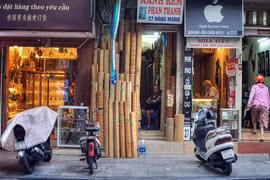 Lịch sử phố "Rừng Mành" ở Hà Nội 