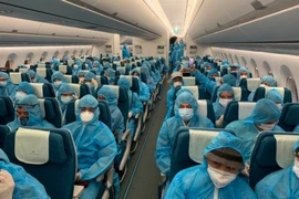 Vụ chuyến bay giải cứu điều tra giai đoạn 2: “Củi” tiếp tục vào lò? 