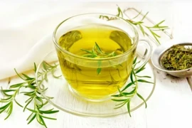 Trà hương thảo - loại trà tốt cho sức khỏe trong ngày hè