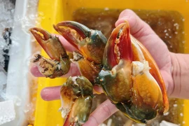 Càng cua hơn 600.000 đồng/kg cháy hàng 