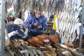 Những điểm mua bán lý tưởng của người Việt tại Ukraine 