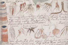 Những cuốn sách vẫn còn là bí ẩn trong lịch sử nhân loại 