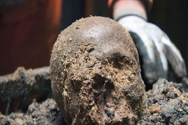 Bí ẩn lộ sáng về 39 sọ người trong căn hầm lớn