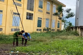 Thảm thương học sinh tiểu học Tuy Lai tử vong vì bị điện giật ở trường