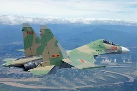 Sự thật về thông tin "máy bay Su-30 rơi ở Bình Phước" 