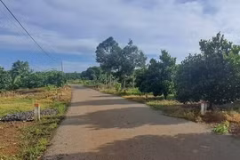 BR-VT: Duy nhất Công ty Kim Hoa dự thầu 2 gói xây lắp tại huyện Châu Đức