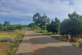 BR-VT: Duy nhất Công ty Kim Hoa dự thầu 2 gói xây lắp tại huyện Châu Đức