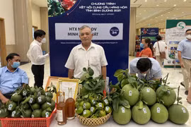 WTC Bình Dương có “ăn chắc” gói thầu 1,8 tỷ tổ chức Hội chợ ở Bình Dương?