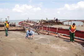 Hành vi khai thác cát ở biển Cần Giờ sẽ bị xử lí như thế nào?