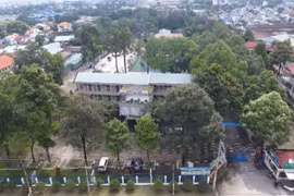 Trường CĐ Công nghệ và Nông lâm Nam Bộ & những gói thầu “một mình một ngựa” 